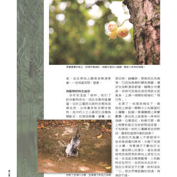 臺北畫刊548期(102年09月)-76