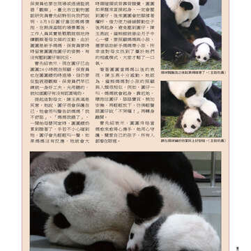 臺北畫刊548期(102年09月)-11