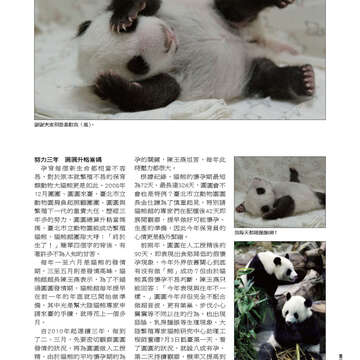 臺北畫刊548期(102年09月)-07