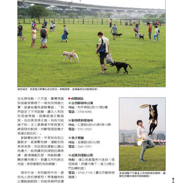 臺北畫刊547期(102年08月)-27