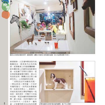 臺北畫刊547期(102年08月)-24