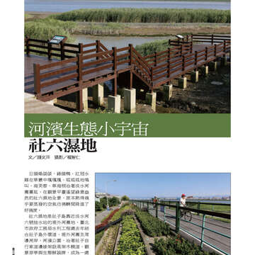 臺北畫刊546期(102年07月)-62