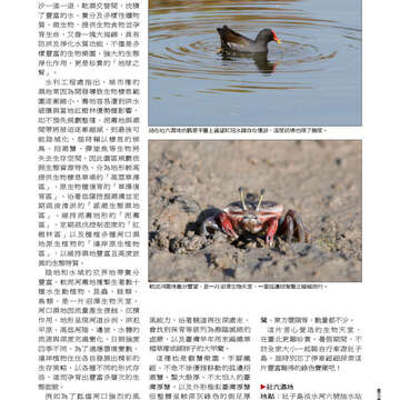 臺北畫刊546期(102年07月)-63