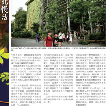 臺北畫刊545期(102年6月)-24