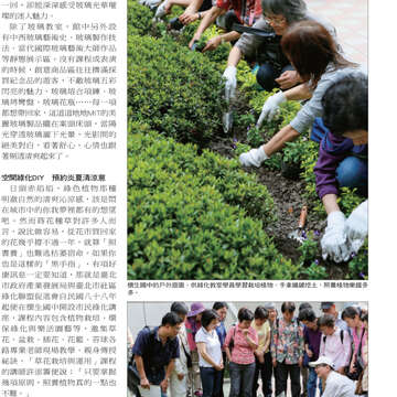 臺北畫刊545期(102年6月)-19