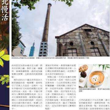 臺北畫刊545期(102年6月)-12