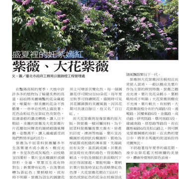臺北畫刊545期(102年6月)-70