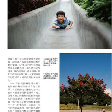 臺北畫刊545期(102年6月)-72