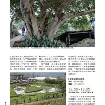 臺北畫刊544期(102年05月)62