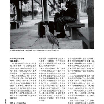 臺北畫刊544期(102年05月)76