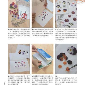 臺北畫刊544期(102年05月)78