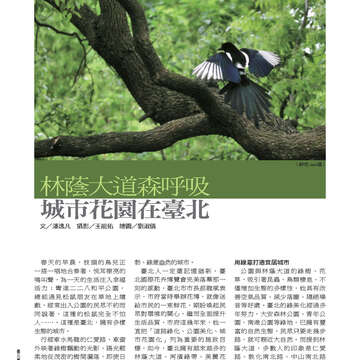 臺北畫刊543期(102年04月)32