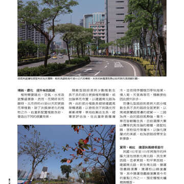 臺北畫刊543期(102年04月)36