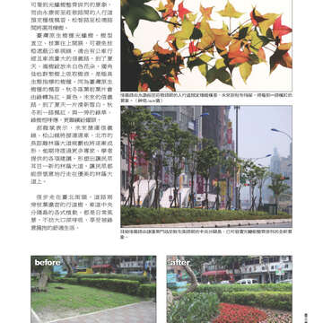 臺北畫刊543期(102年04月)37