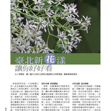 臺北畫刊543期(102年04月)58