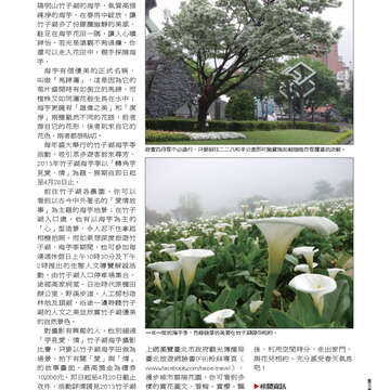 臺北畫刊543期(102年04月)59
