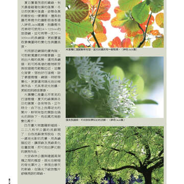 臺北畫刊543期(102年04月)38