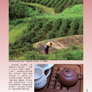 臺北畫刊542期(102年03月)-19