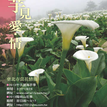 臺北畫刊542期(102年03月)-84
