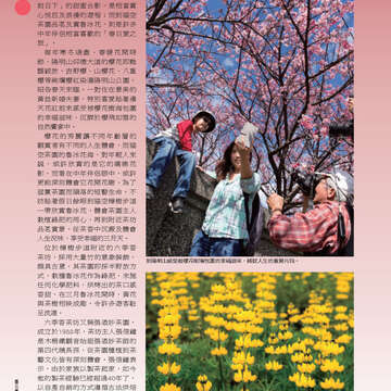 臺北畫刊542期(102年03月)-18