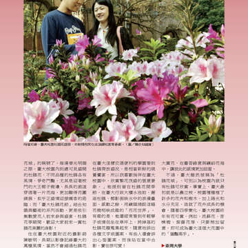 臺北畫刊542期(102年03月)-17