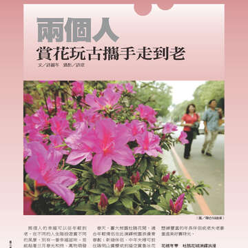 臺北畫刊542期(102年03月)-16