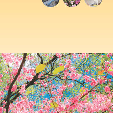 臺北畫刊542期(102年03月)-09
