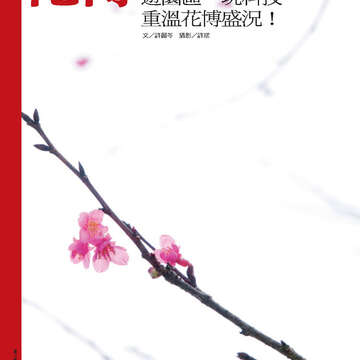 臺北畫刊第541期-14