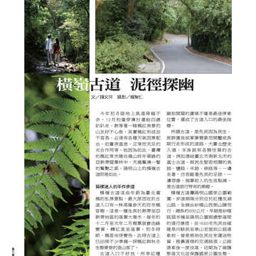 臺北畫刊第540期-36