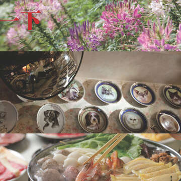 臺北畫刊第540期-11