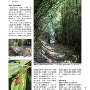 臺北畫刊第540期-37