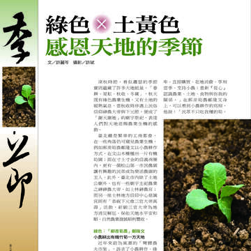 臺北畫刊538期-26