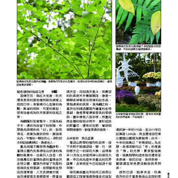 臺北畫刊538期-19