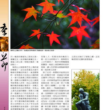 臺北畫刊538期-18