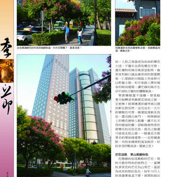 臺北畫刊538期-16