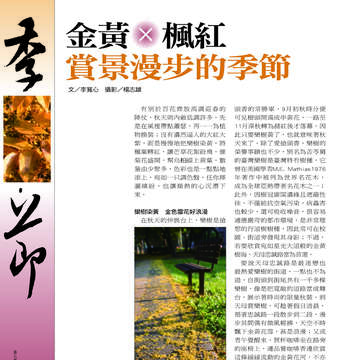 臺北畫刊538期-14
