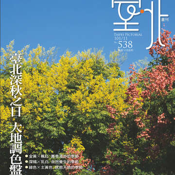 臺北畫刊538期-01