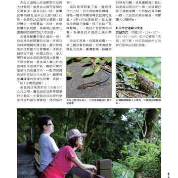 臺北畫刊537期-31