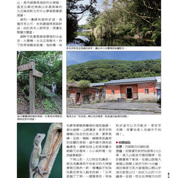 臺北畫刊535期-39