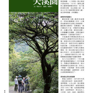 臺北畫刊533期-38