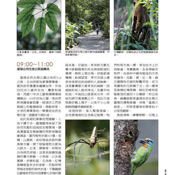 《臺北畫刊》532期(101年5月)     溫馨五月，「玩」出臺北新創意