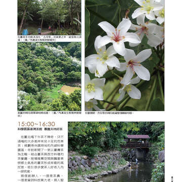 《臺北畫刊》532期(101年5月)     溫馨五月，「玩」出臺北新創意