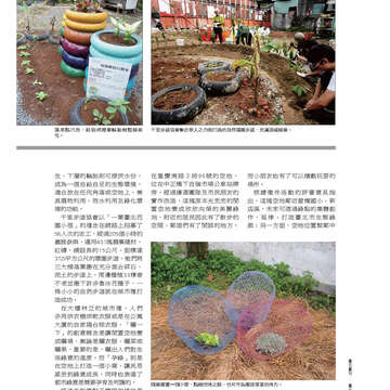 《臺北畫刊》531期(101年4月) 「綠色行動」愛地球 臺北城不落人後