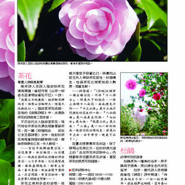 臺北畫刊第530期_15