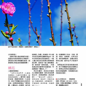 臺北畫刊第530期_14