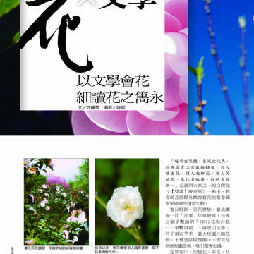 臺北畫刊第530期_13
