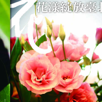 臺北畫刊第530期_11