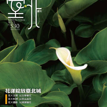 臺北畫刊第530期_01