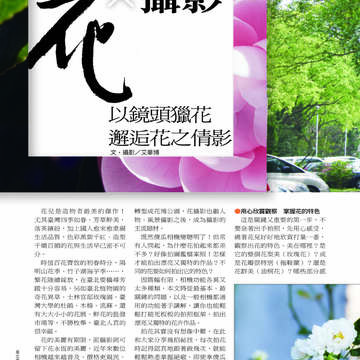 臺北畫刊第530期_25