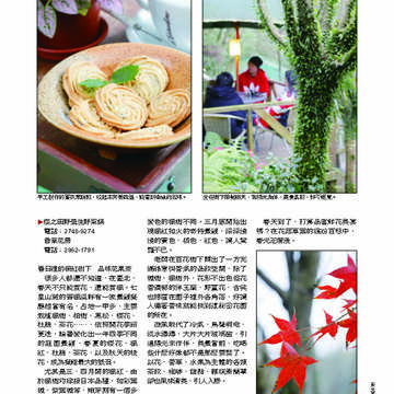 臺北畫刊第530期_24